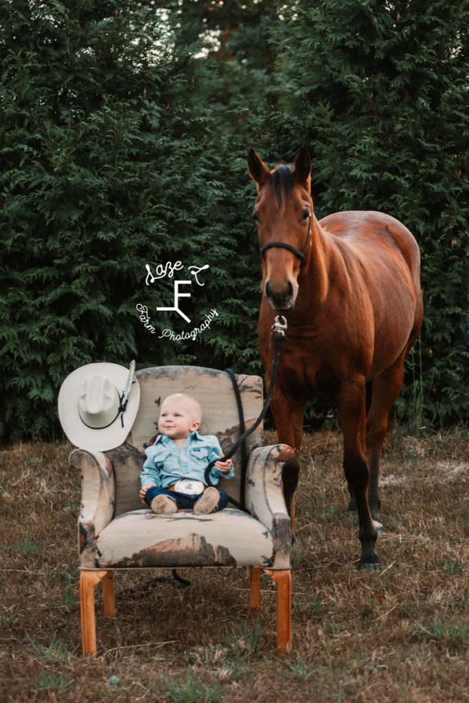 little cowboy with horse in a chair