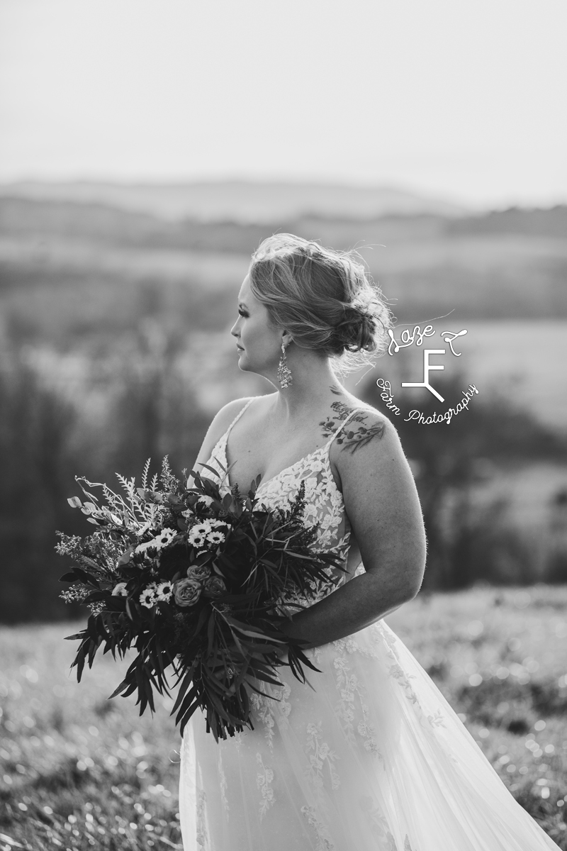 Devon Mountain Top Bridal Photoshoot Rural Retreat Va Laze L Farm Photography