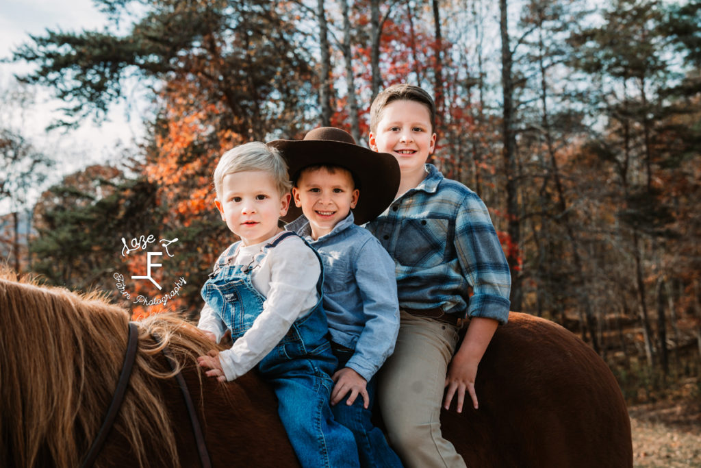 3 boys on horse back