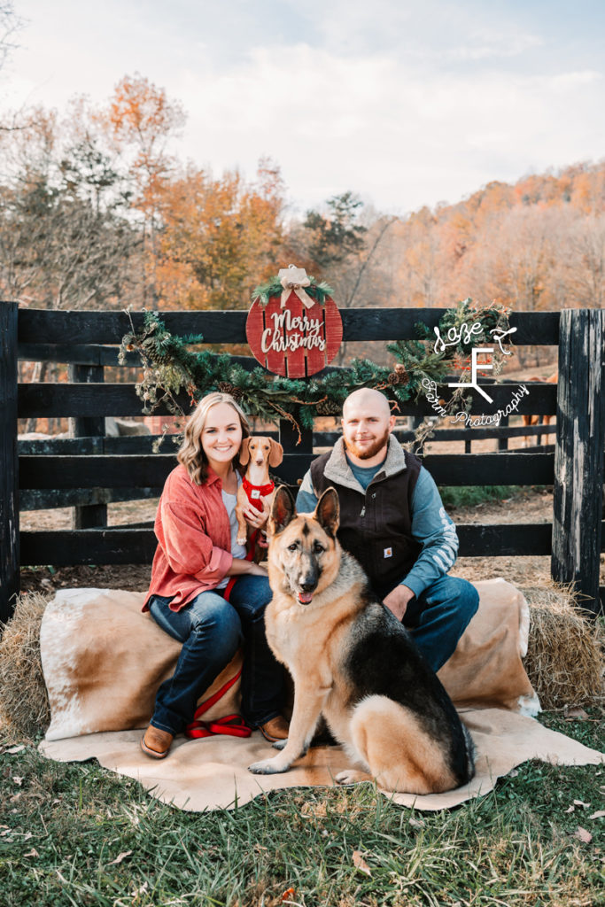 couple with 2 dogs