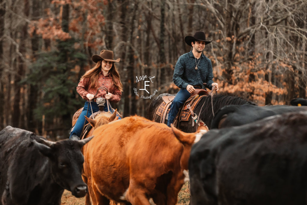 cowboy couple pushing cows