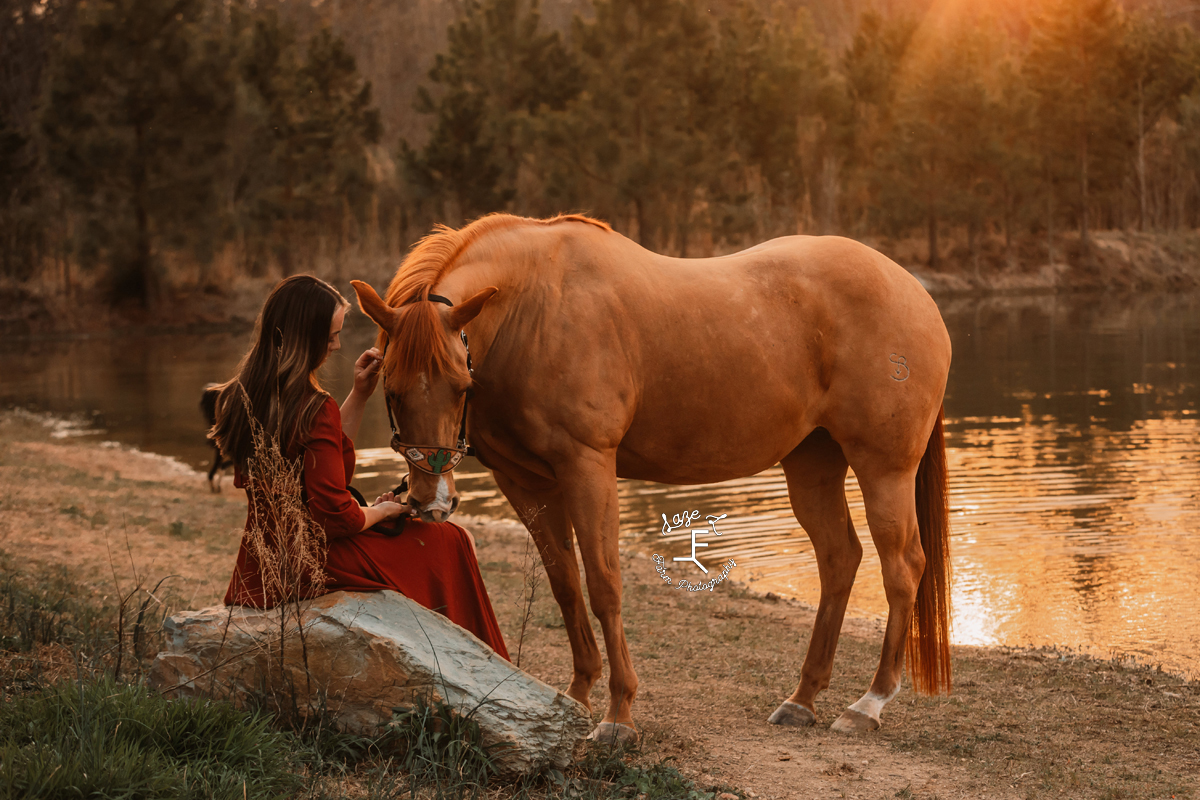 girl sitting with dunn horse at lake edge