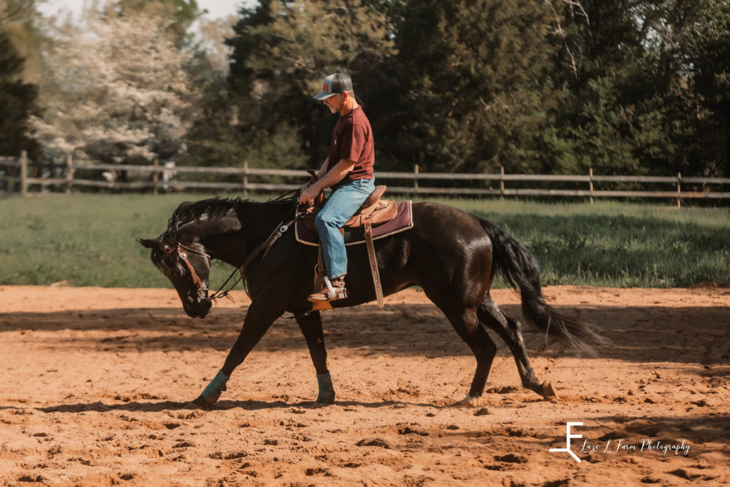 trainer with horse