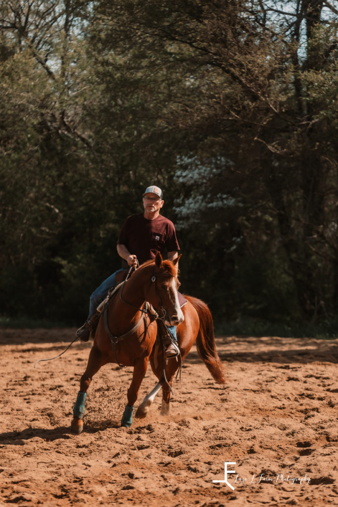 bending brown horse