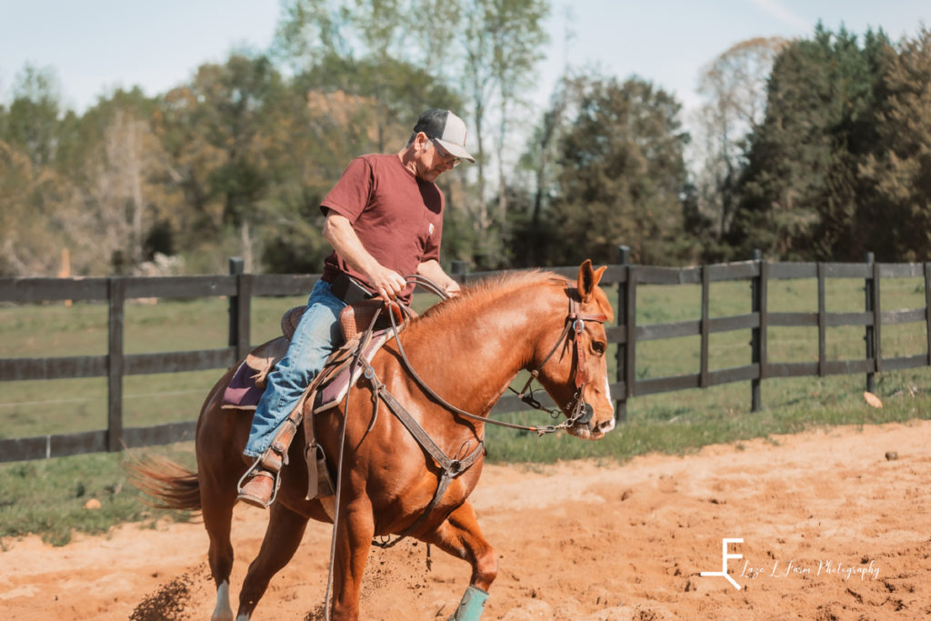 bending with brown horse