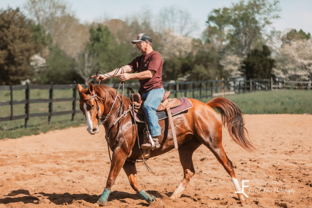 trotting brown horse