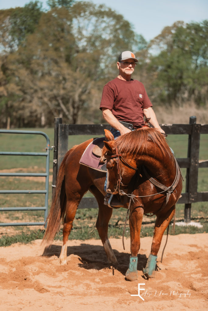 brown horse stretching