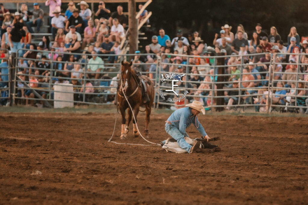 blue shirt calf tying