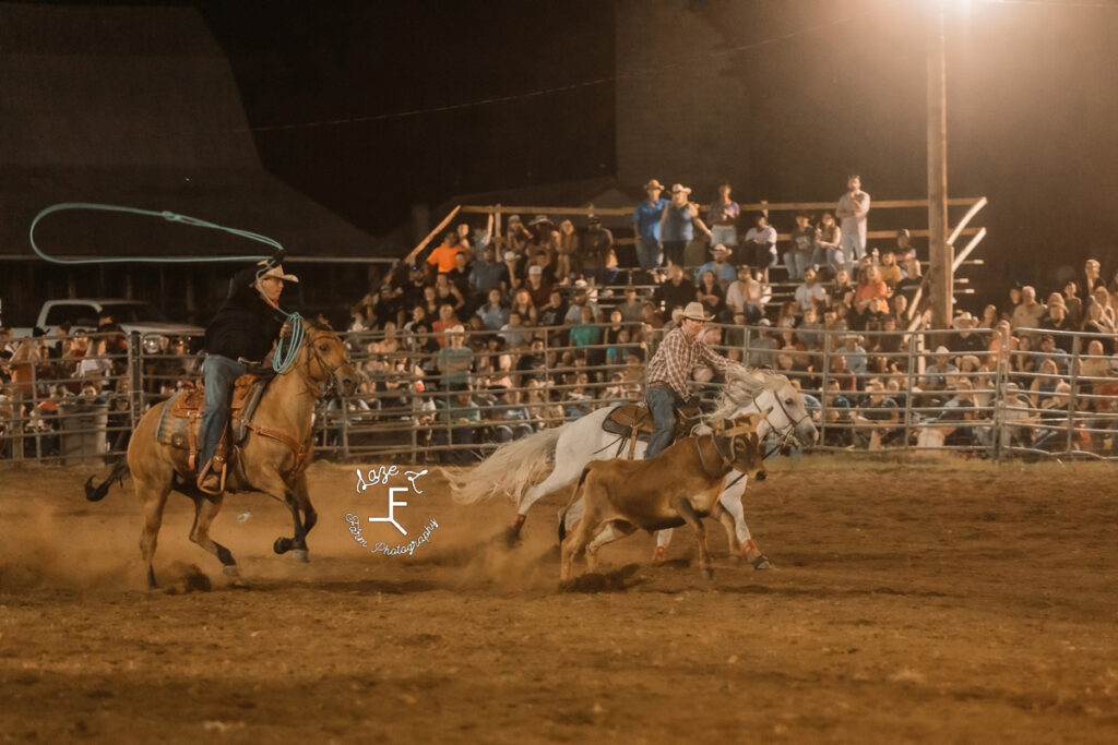 light brown and grey horses team roping