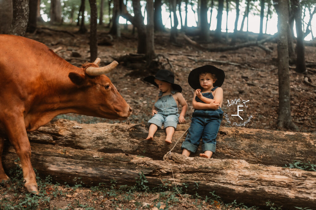 brothers in black hats sitting on log with a cow