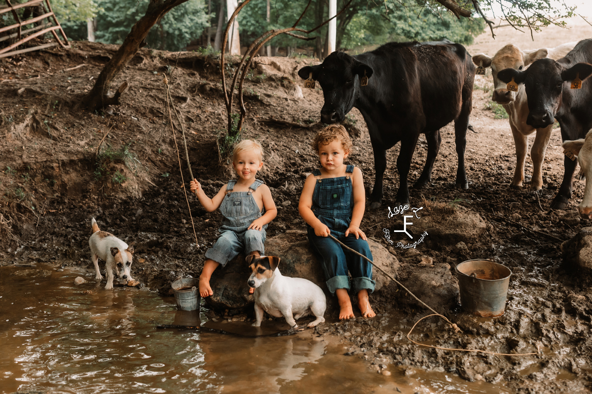 brothers sitting fishing with their dogs and a cow