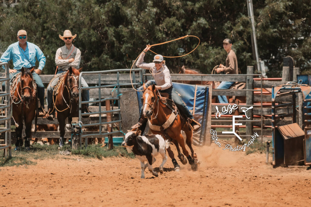 cowboy throwing rope to catch brown and white cow