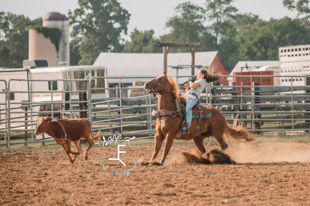 girl on brown horse roping brown cow
