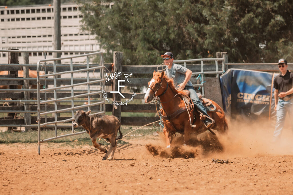 youth rider roping dark brown cow