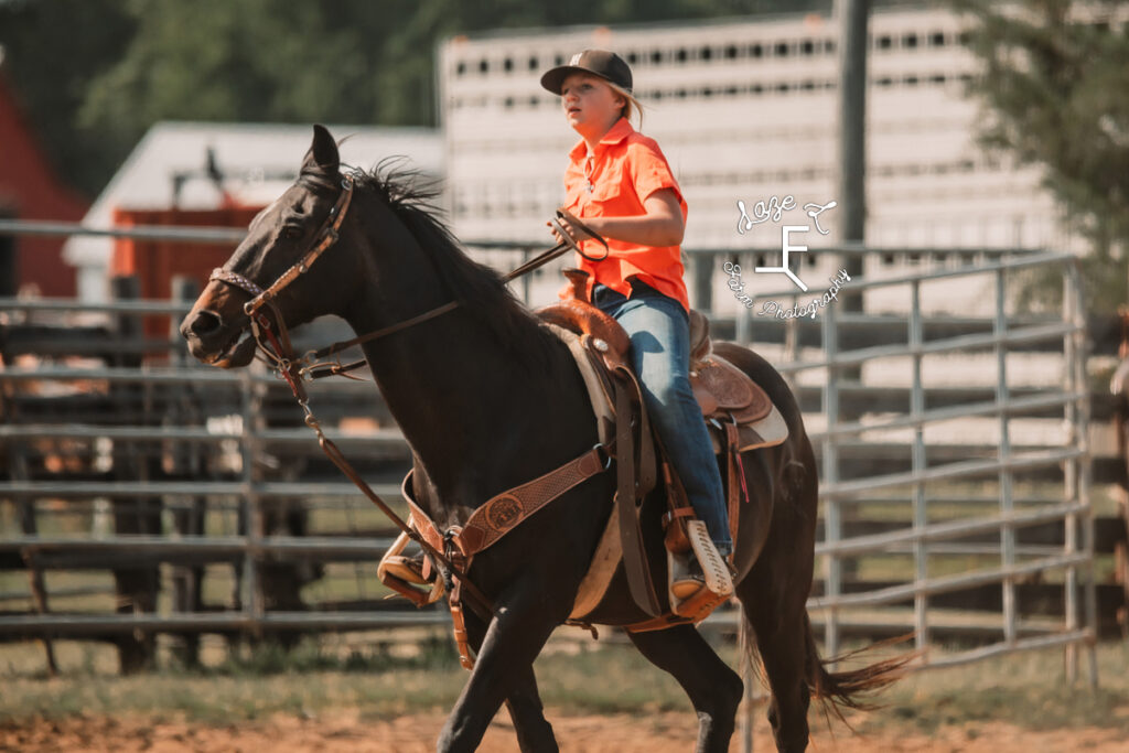 Girl in orange shirt on black horse