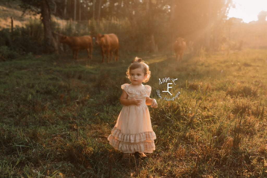 little girl in tan dress with cows