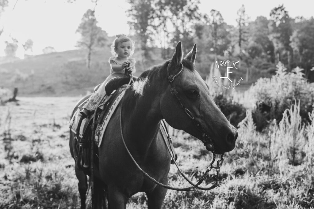 little girl on horse in black and white
