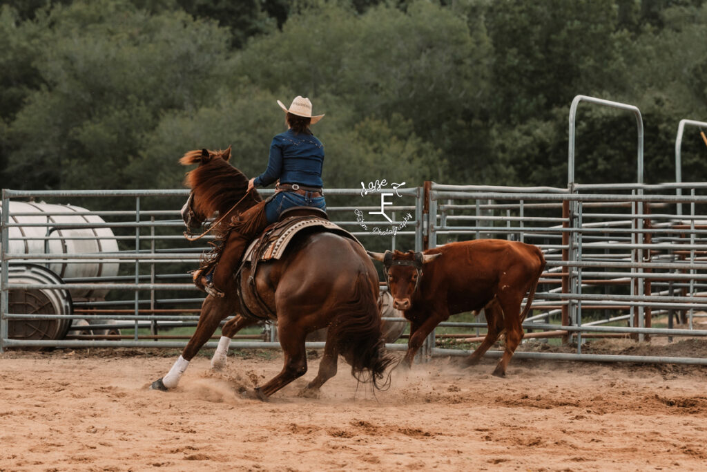 cowgirl working a cow with horse