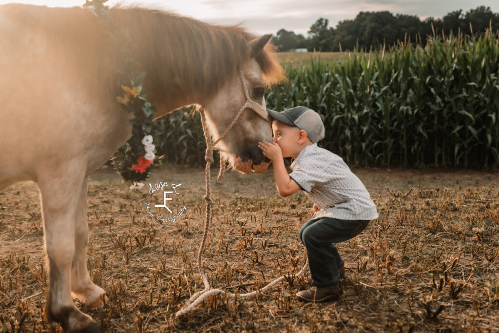 little boy kissing pony