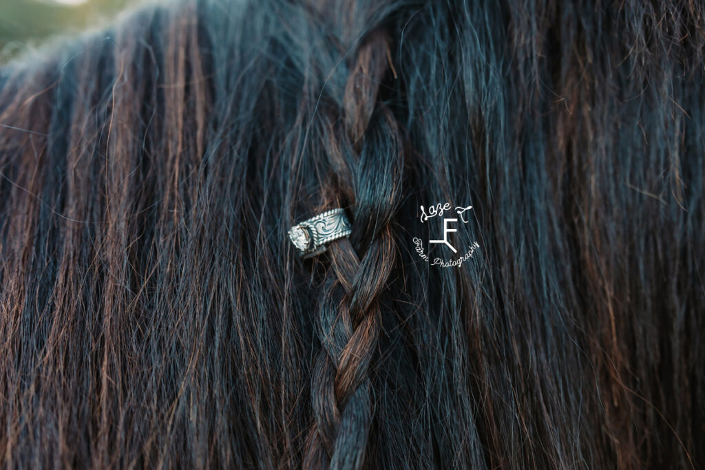 engagement ring braided into horses mane