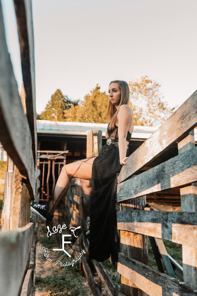 brunette model sitting on cattle shoot in black dress
