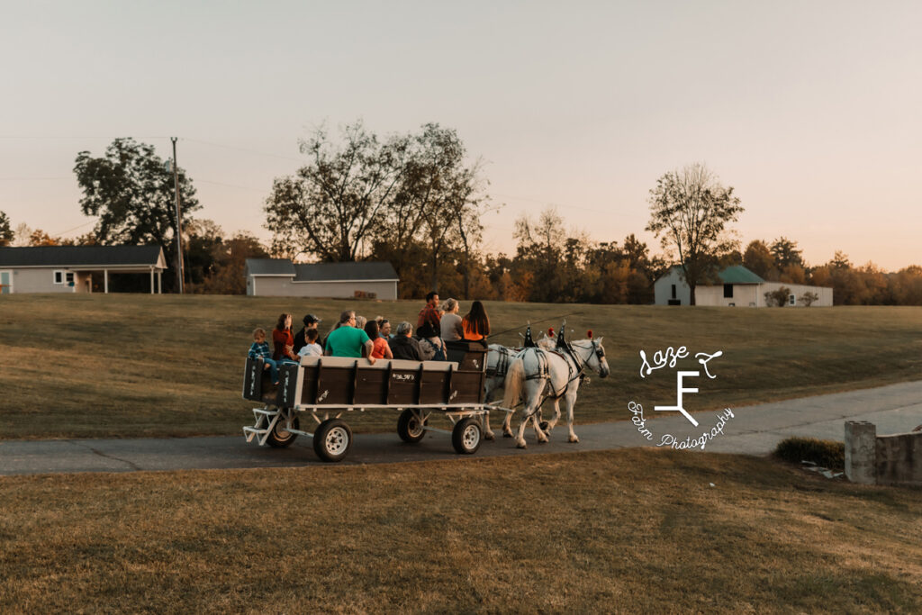 horse drawn wagon rides