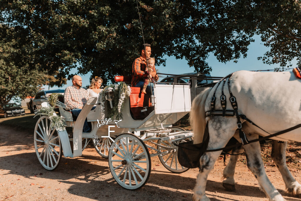bride and groom coming in by carriage