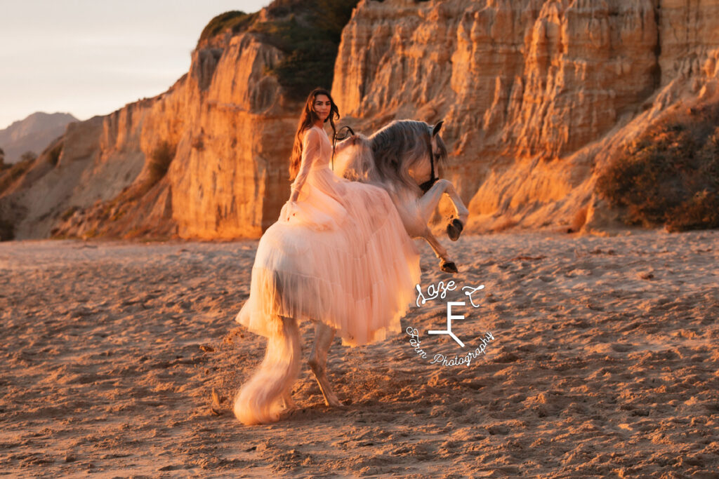 model in pink dress riding rearing horse on the beach