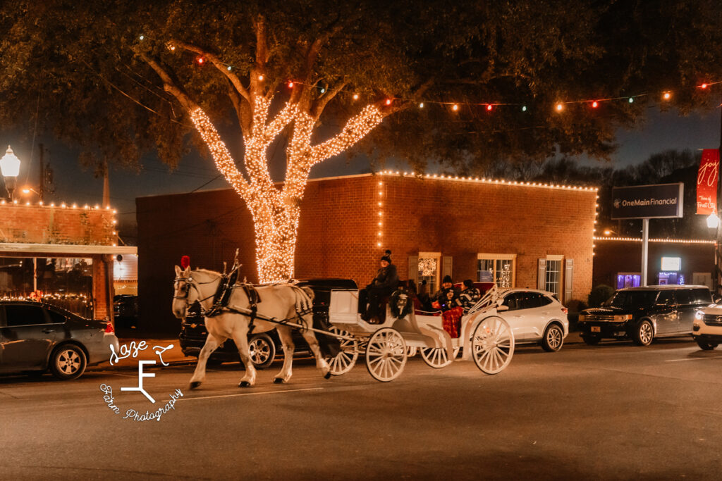 Malcom pulling carriage through downtown