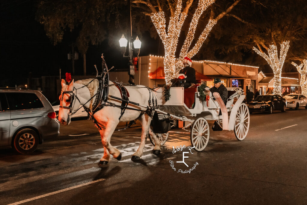 Max pulling carriage through downtown