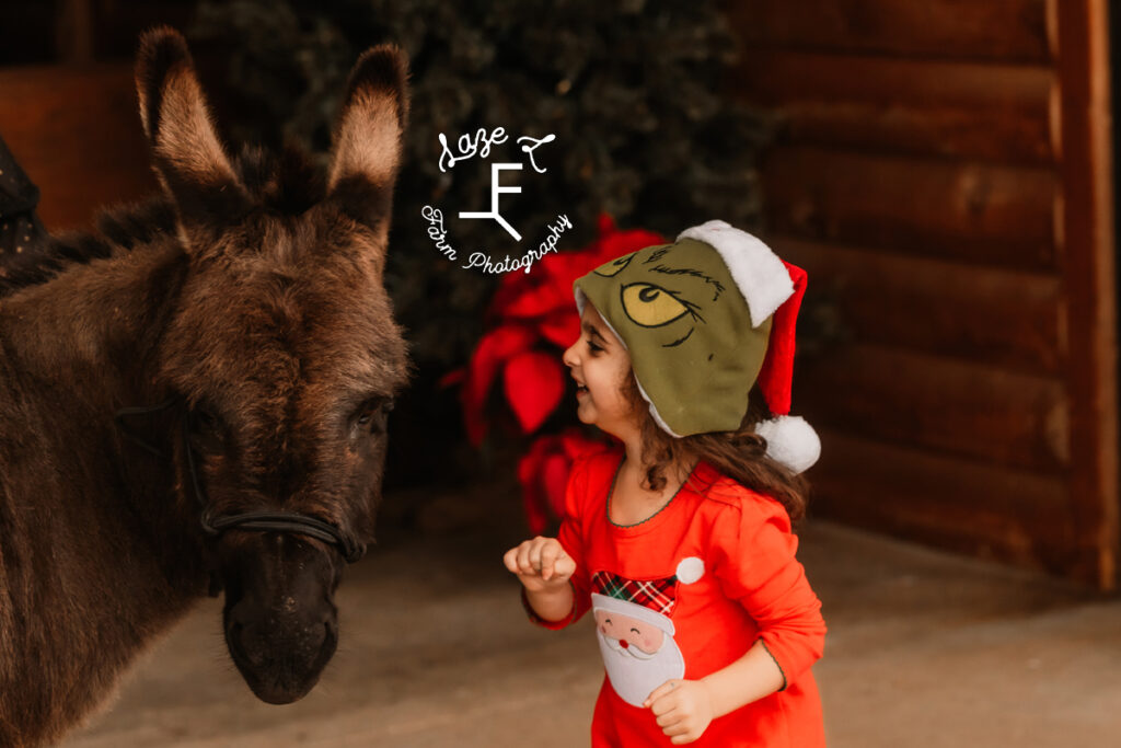 little girl wearing Grinch hat laughing with Donkey