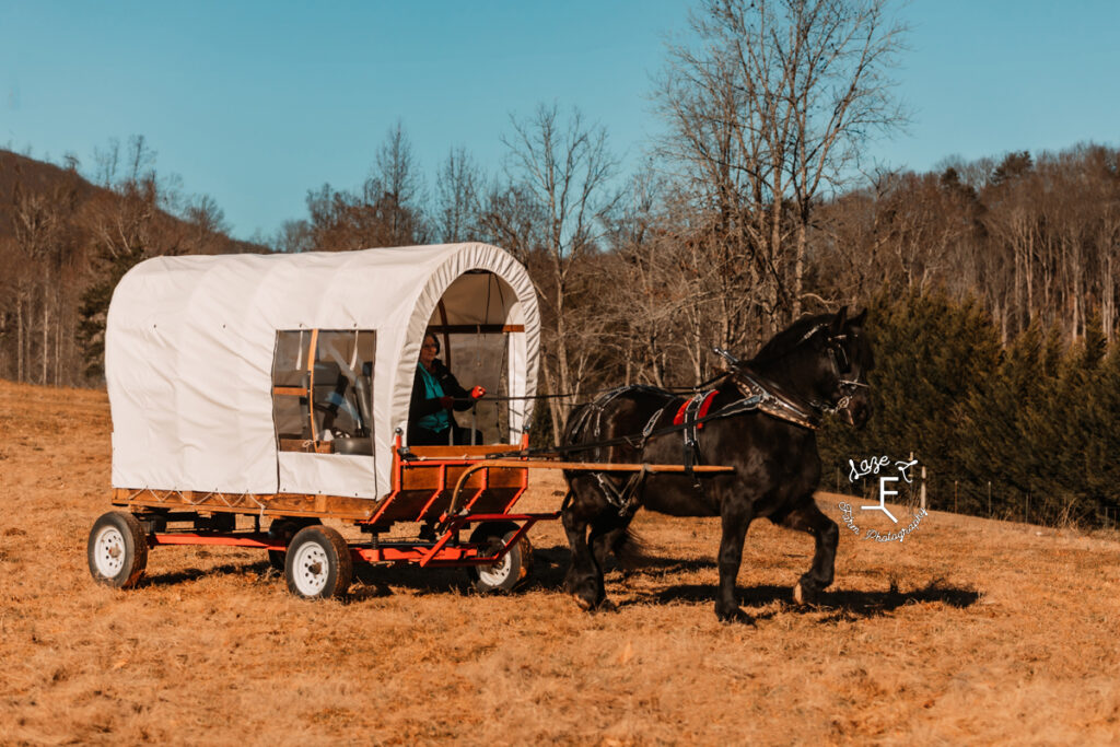 Setzel pulling covered wagon