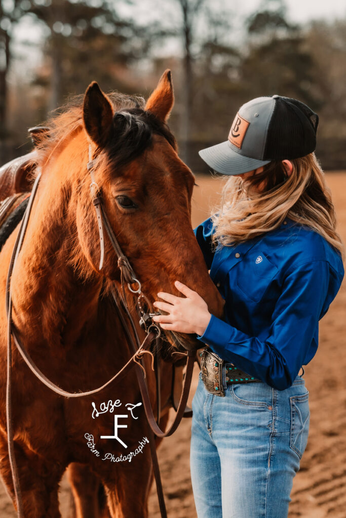 Toyie petting bay horse