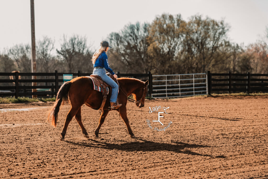 Toyie riding in arena