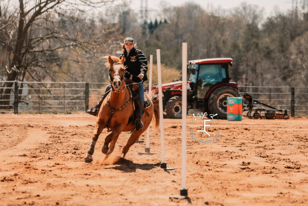 Rider doing polls on brown horse