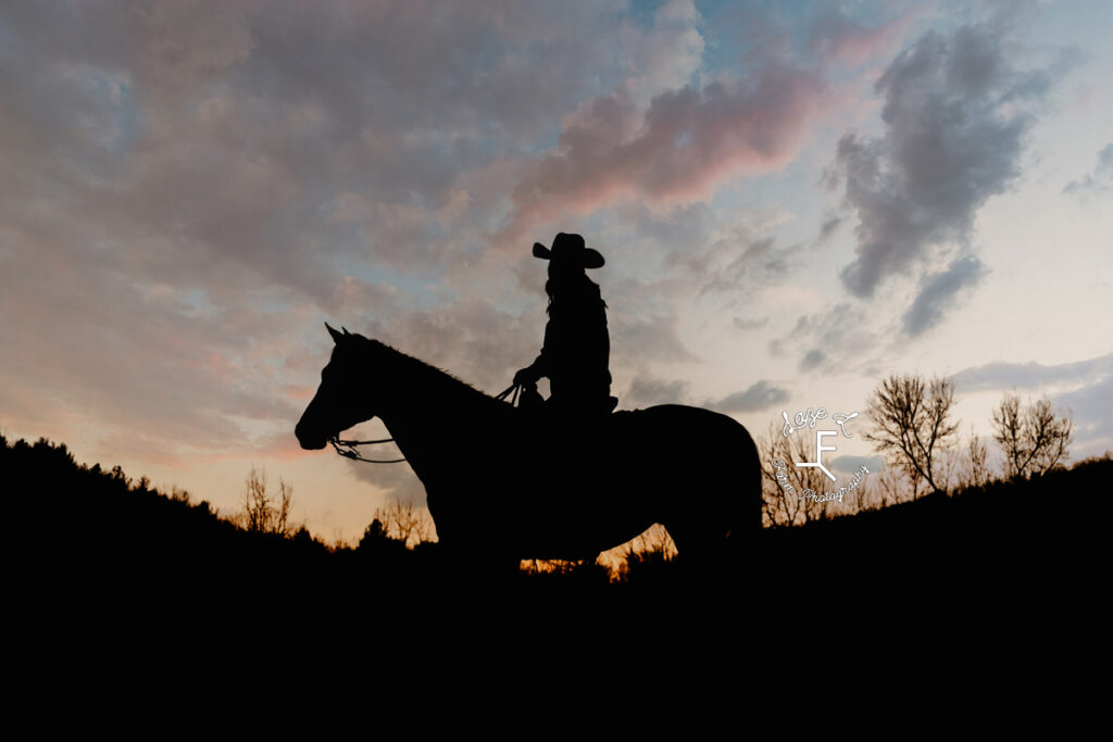 Gina and Chip silhouette at sunset