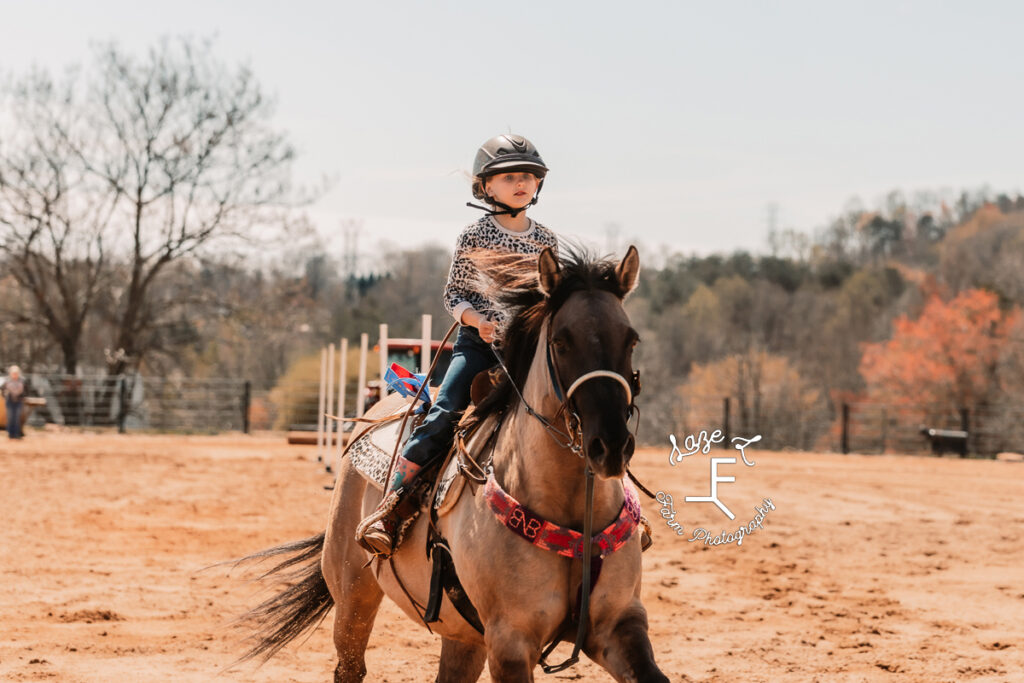 little rider on gruella horse