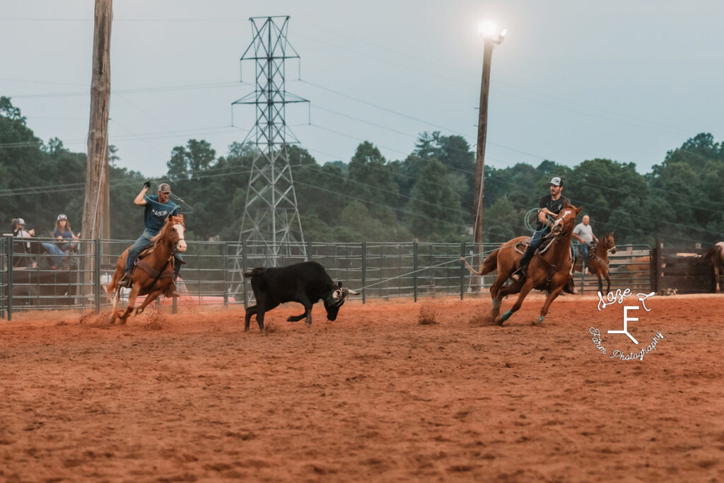 Team ropers chasing cow