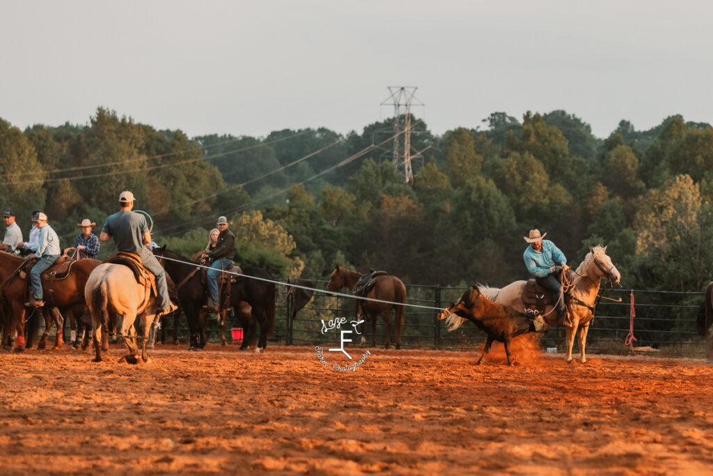 Team roping catching