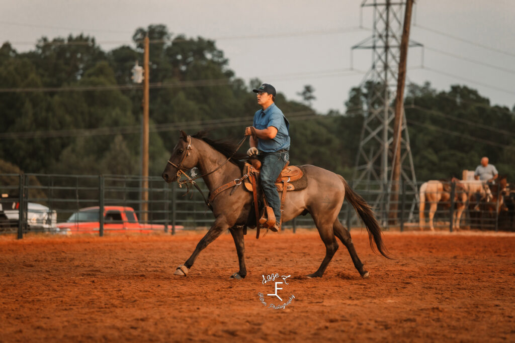 Team roper on gruella horse