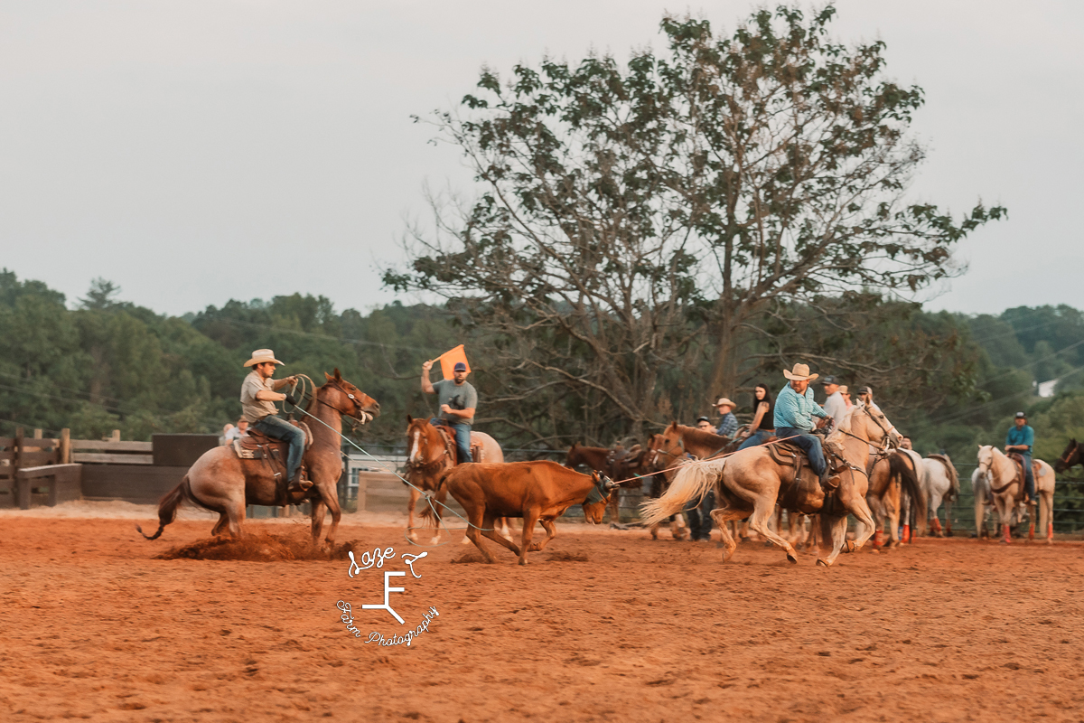 Team ropers mid catch