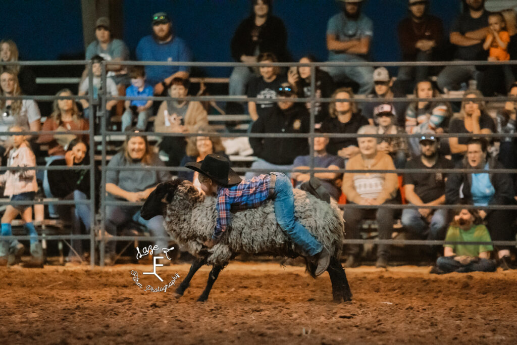 mutton busting with older kid