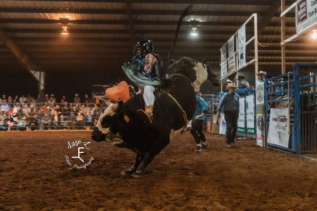 bull riding on black and white bull