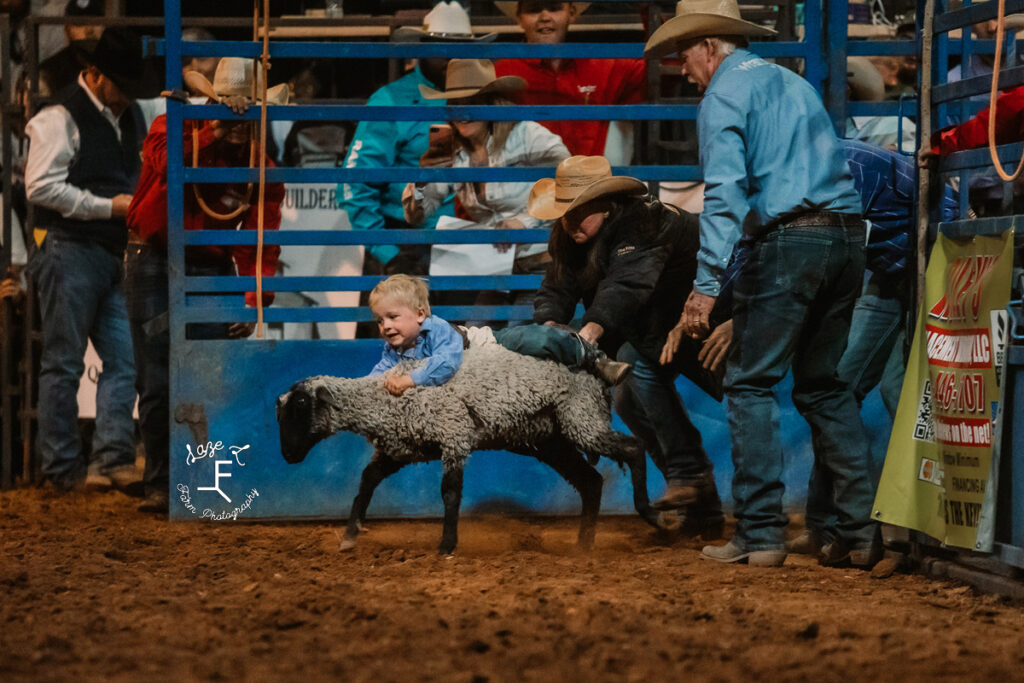 mutton busting