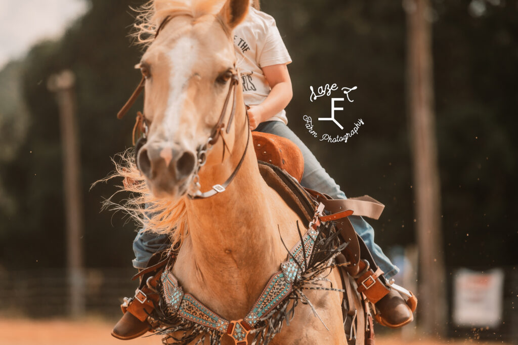 palomino horse barrel racing