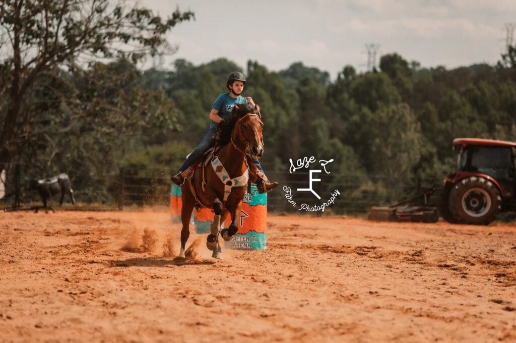 bay horse barrel racing