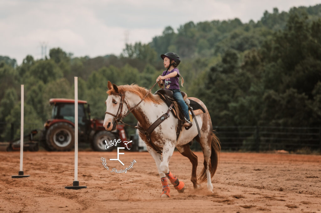 paint horse and cowgirl running poles