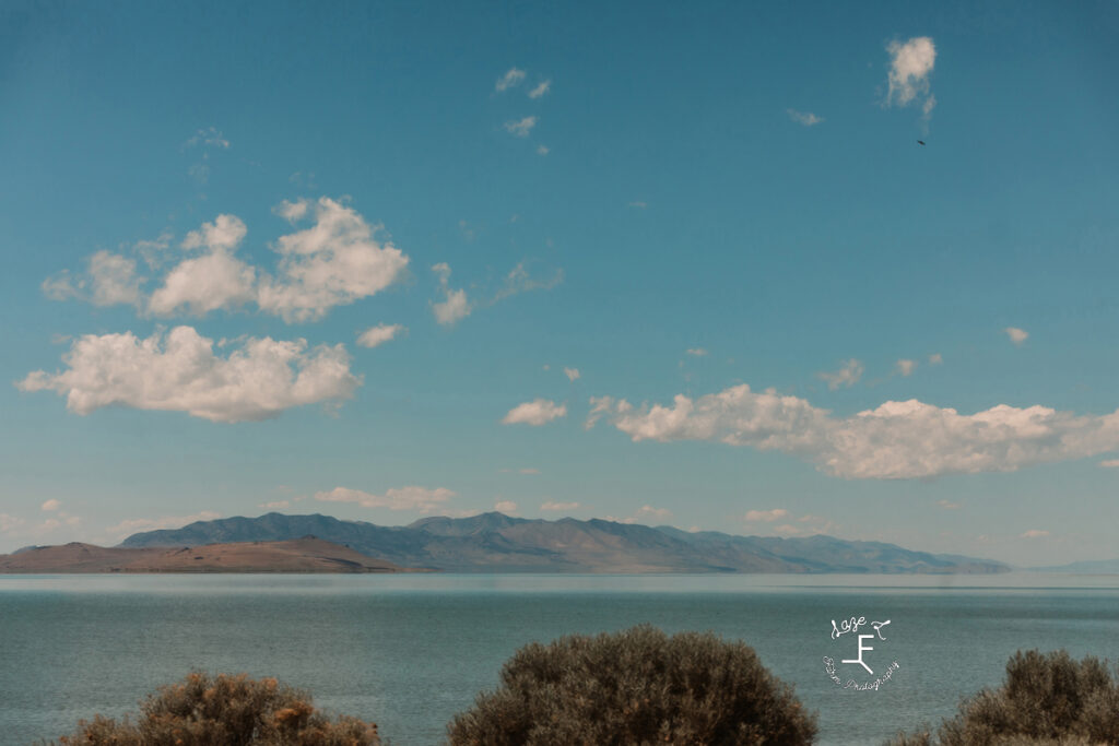 View from Antelope Island