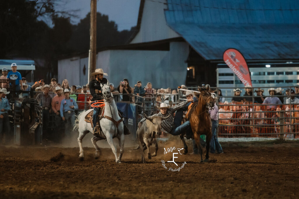 Team roping 1