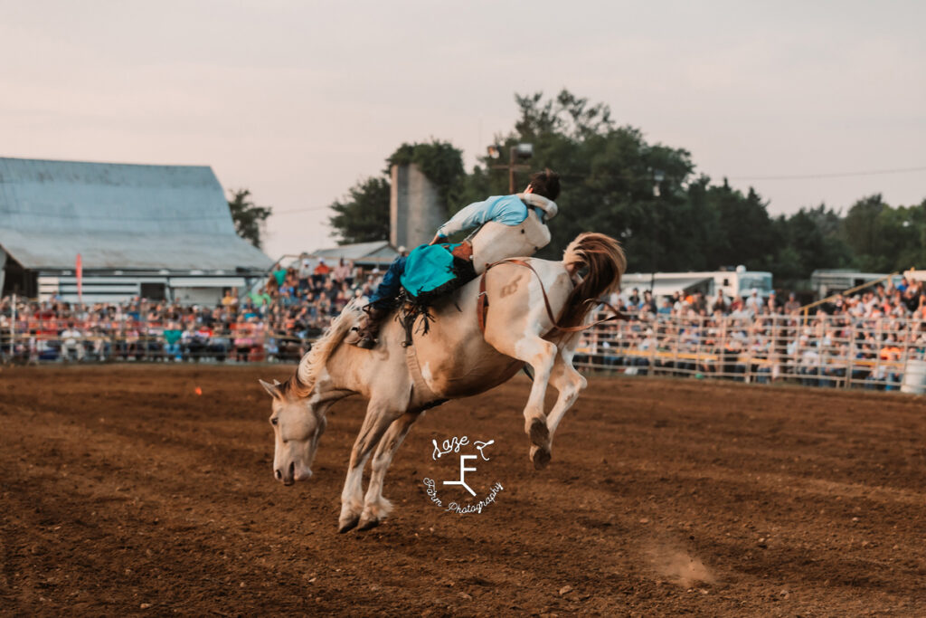 Saddle Bronc Rider 2